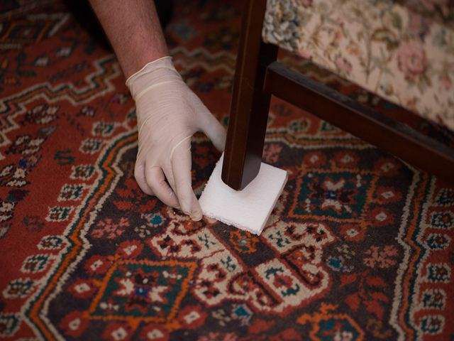 Carpet Cleaning