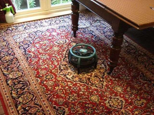 Rug Cleaning