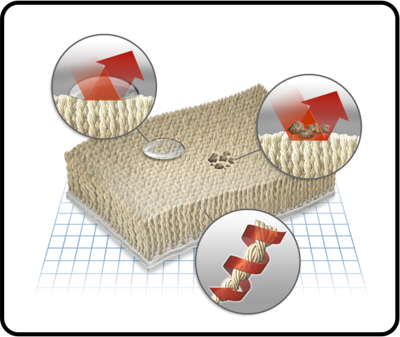 Stain Protection Explaination
